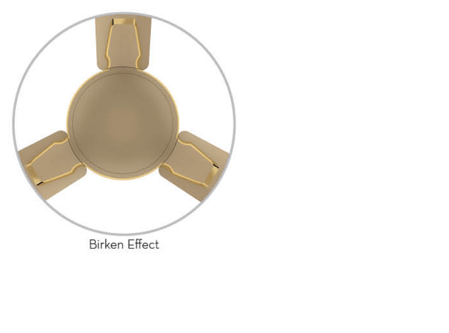 PREMION AURA2 PRIME-BIRKEN EFFECT